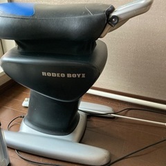 ロデオボーイⅡ 乗馬ダイエットの画像