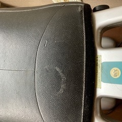 ロデオボーイⅡ 乗馬ダイエットの画像