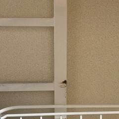 [幅55] 突っ張り式ランドリーラックの画像