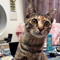 (更新🎶)とっても甘えん坊のルチアちゃん