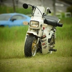 OKD ホンダ(バイク)の中古が安い！激安で譲ります・無料で