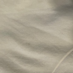 レディース ビジネスシャツ 薄い黄色 の画像