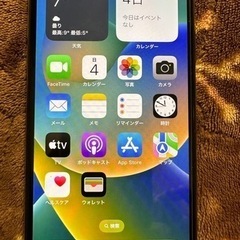iPhone XS 256GB