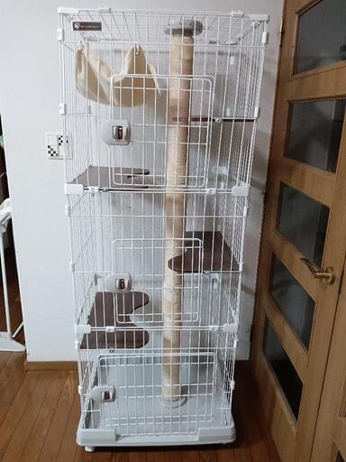 引取者様決まりました。　値下げ　新品未使用　キャットランドゲージ