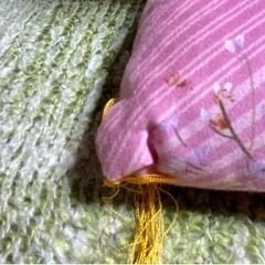 和綴じ 敷布団  ピンク (引き取りに来て下さる方 限定)の画像