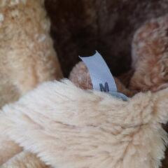 ムートンジャケットの画像