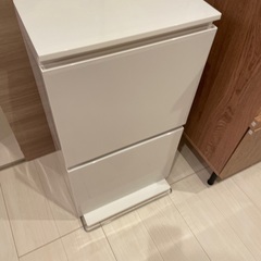 ゴミ箱 2段 分別