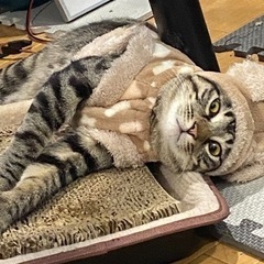 ‼️お願いします‼️ - 福岡市