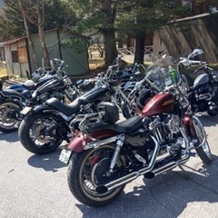 ハーレー、アメリカンバイクメンバー募集 - 友達
