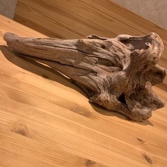 【決まりました】流木 巨大 オブジェ インテリア