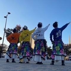 よさこい新規メンバー募集！ - スポーツ