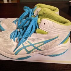 子供用バッシュの画像