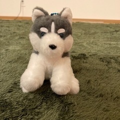 ハスキー ぬいぐるみの中古が安い！激安で譲ります・無料で
