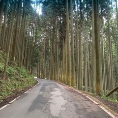 空き地、山林ください。