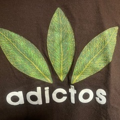 Tシャツ アディクト 茶の画像