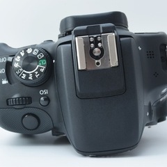 S数約2850回●美品●転送可能●初心者向け●キャノン EOS kiss X7 1ヶ月動作補償あり！ 安心のゆうパック代引き発送！ 送料、代引き手数料無料！の画像