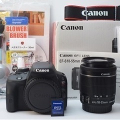 S数約2850回●美品●転送可能●初心者向け●キャノン EOS kiss X7 1ヶ月動作補償あり！ 安心のゆうパック代引き発送！ 送料、代引き手数料無料！の画像