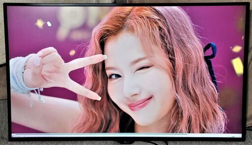 LG 42.5インチ IPS 4Kモニター 43UD79 完動美品！