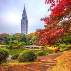 大人・おじさん・おばさま・童心に戻って遊びませんか？街歩き　お茶飲み友達. - 葛飾区
