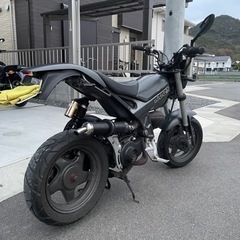 【特典あり！】ストリートマジック50 カスタム実働7.2馬力！