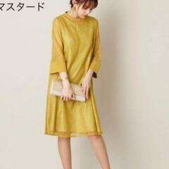エメ　マスタード　スタンドネック総レースの画像