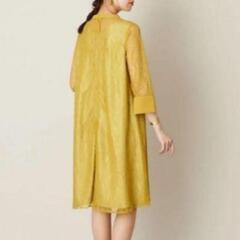 エメ　マスタード　スタンドネック総レースの画像