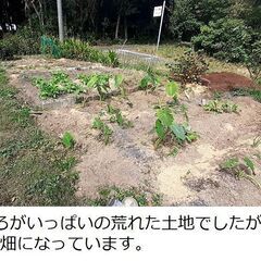 ☆プチ応援☆家庭菜園で食材が余るときがあります。ちょっとだけお助...