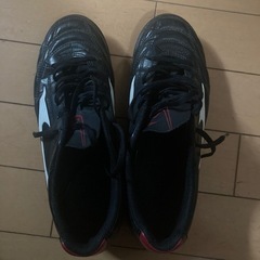 ミズノ　モナルシーダ　トレシュー　24.5