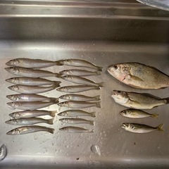 海釣り友達募集!!年齢性別問わず!! - 土浦市