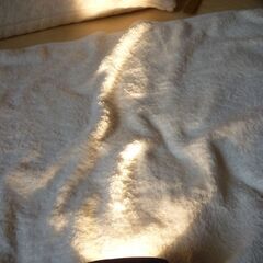 ダイビング 防水ライトの画像
