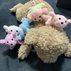 中古　いぬ産んじゃった