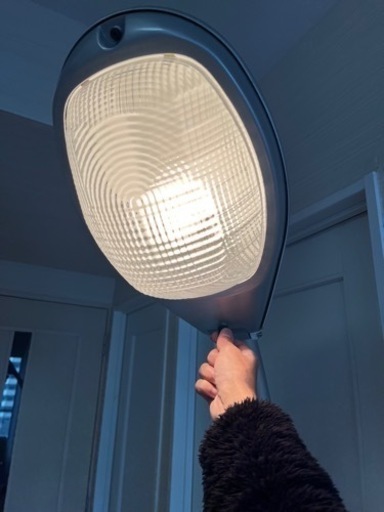 フロアライト 「Super Guppy Lamp」
