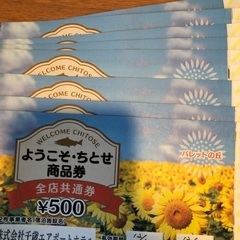 千歳商品券（市内でも使えます）