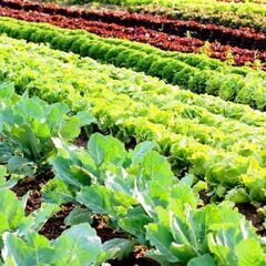 ガッツリ稼げる☆未経験者歓迎！単身寮もあるので安心