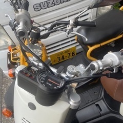 YAMAHA VOXの画像