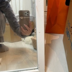 ニトリ　全身鏡の画像