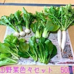 『完売です‼️』　★無農薬野菜★　冬野菜色々セット500円