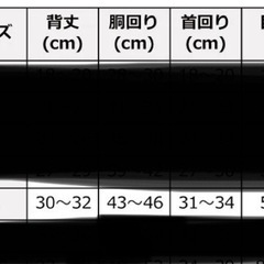 試着のみ　犬服　AVIREX（アヴィレックス）パッチドライダースＪＫＴの画像