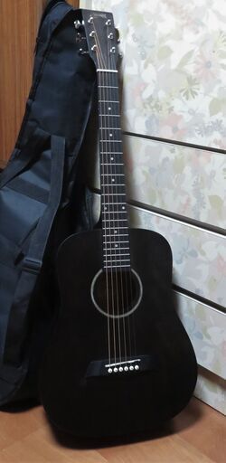 アコースティックミニギター