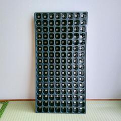新品・未使用　育苗　128穴　プラグトレー　セルトレーの画像