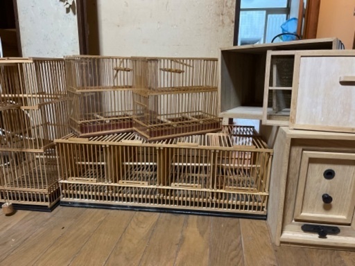 鳥かご！