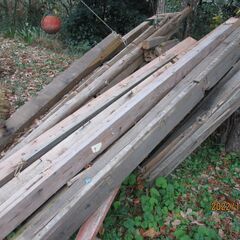 針葉樹の原木や針葉樹の解体資材、ストーブやキャンプ薪で利用される方いますか？の画像
