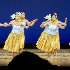 【鎌倉駅より徒歩1分】HULA（フラダンス）体験レッスン無料！の画像