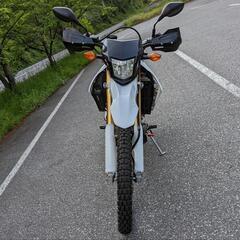 CRF250L MD38 ワンオーナー　ビッグタンク　モリワキマフラー　ローダウンの画像