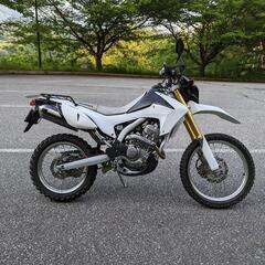 CRF250L MD38 ワンオーナー　ビッグタンク　モリワキマフラー　ローダウンの画像