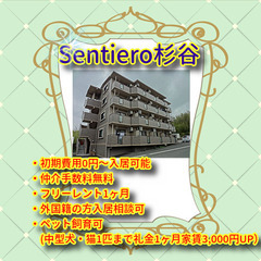 🍑Sentiero杉谷102号室🤩初期費用0円～！ペット（…