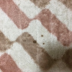電気カーペットの画像
