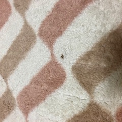 電気カーペットの画像
