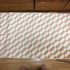 電気カーペットの画像