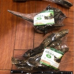 流木 大量入荷しました🌳